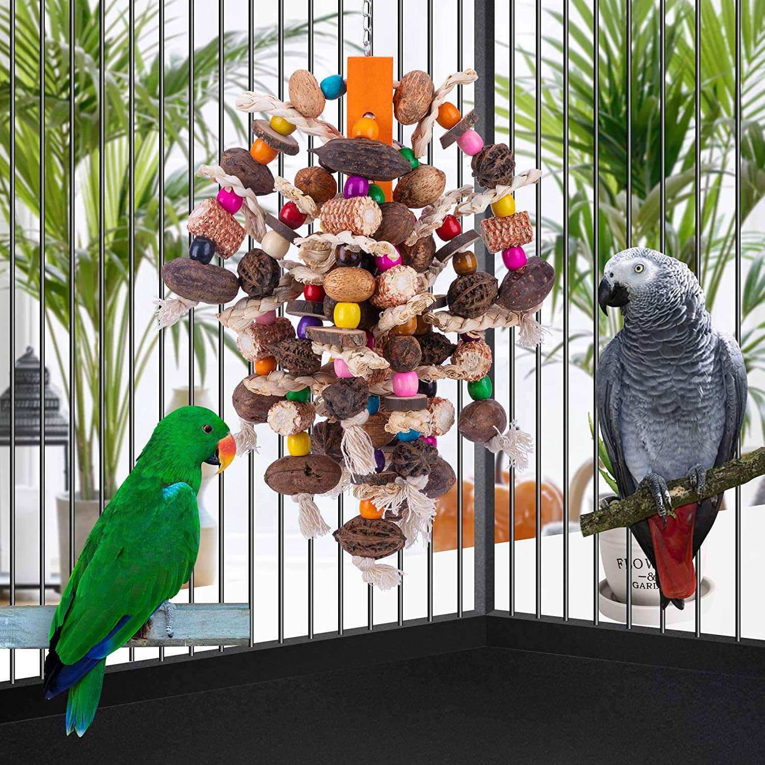 Large Parrots Nibbling On Toy Fruit Skewers photo 7