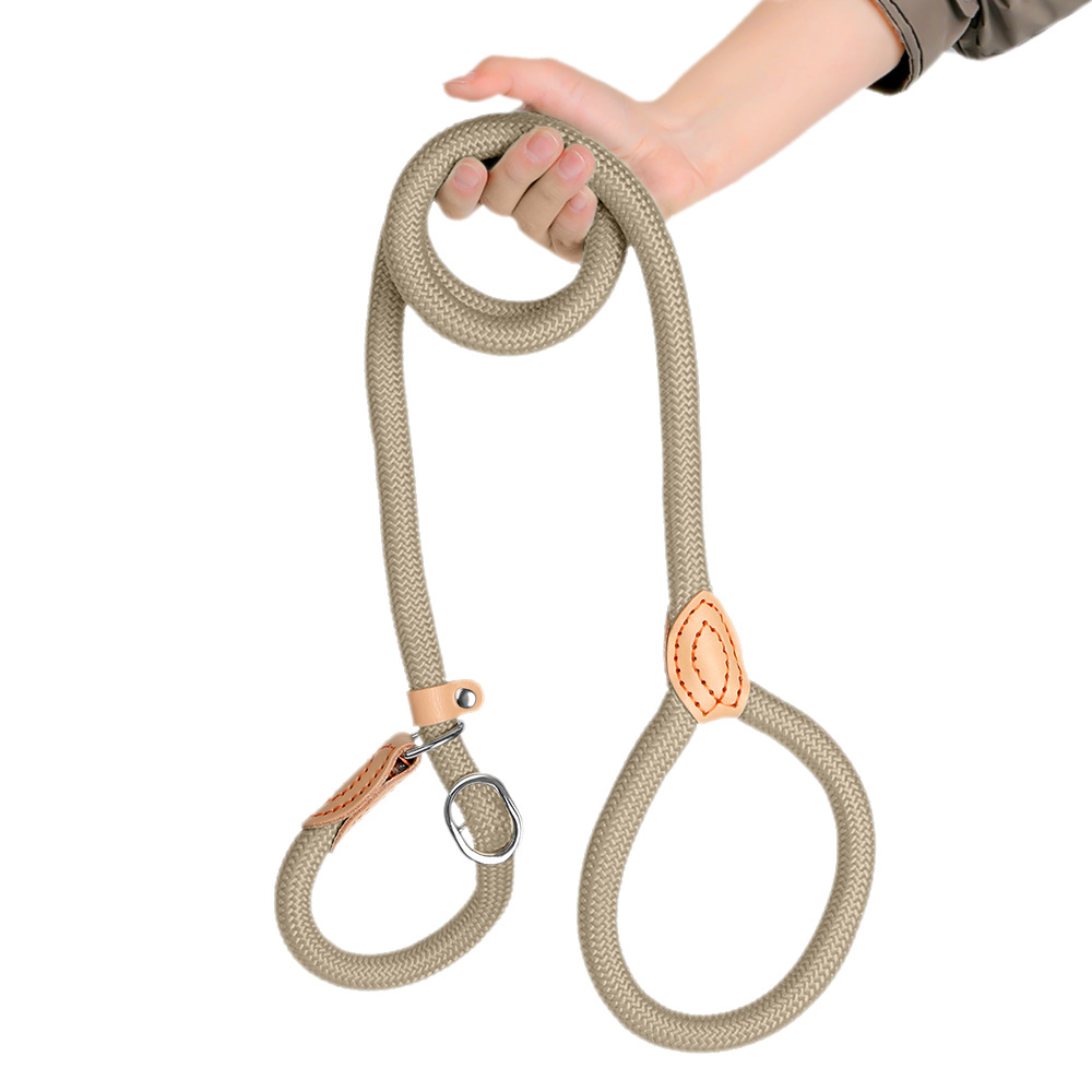 Extended And Thickened Pet Leash For Dogs photo 4