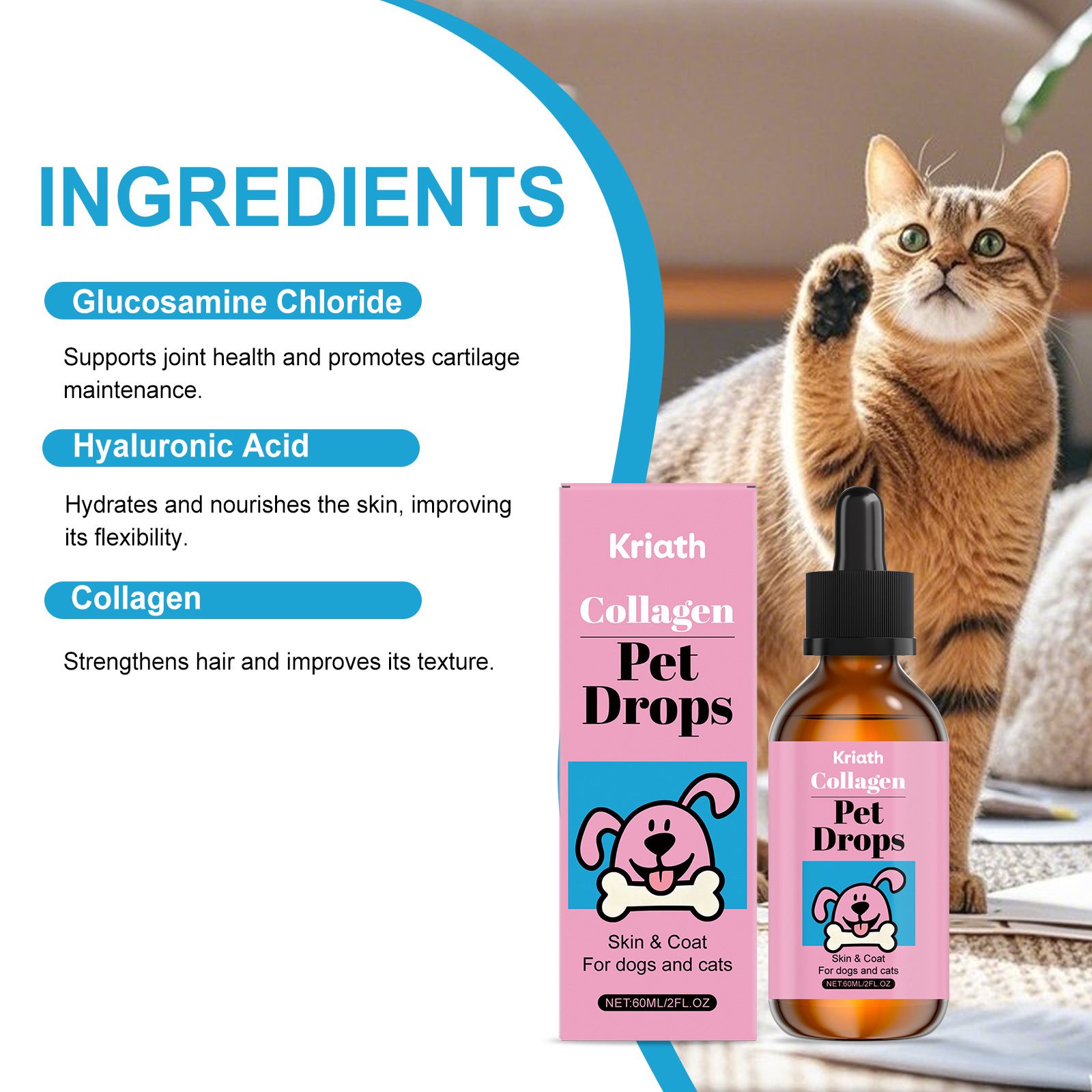 Pet Body Home Care Supplements For Cats And Dogs photo 1