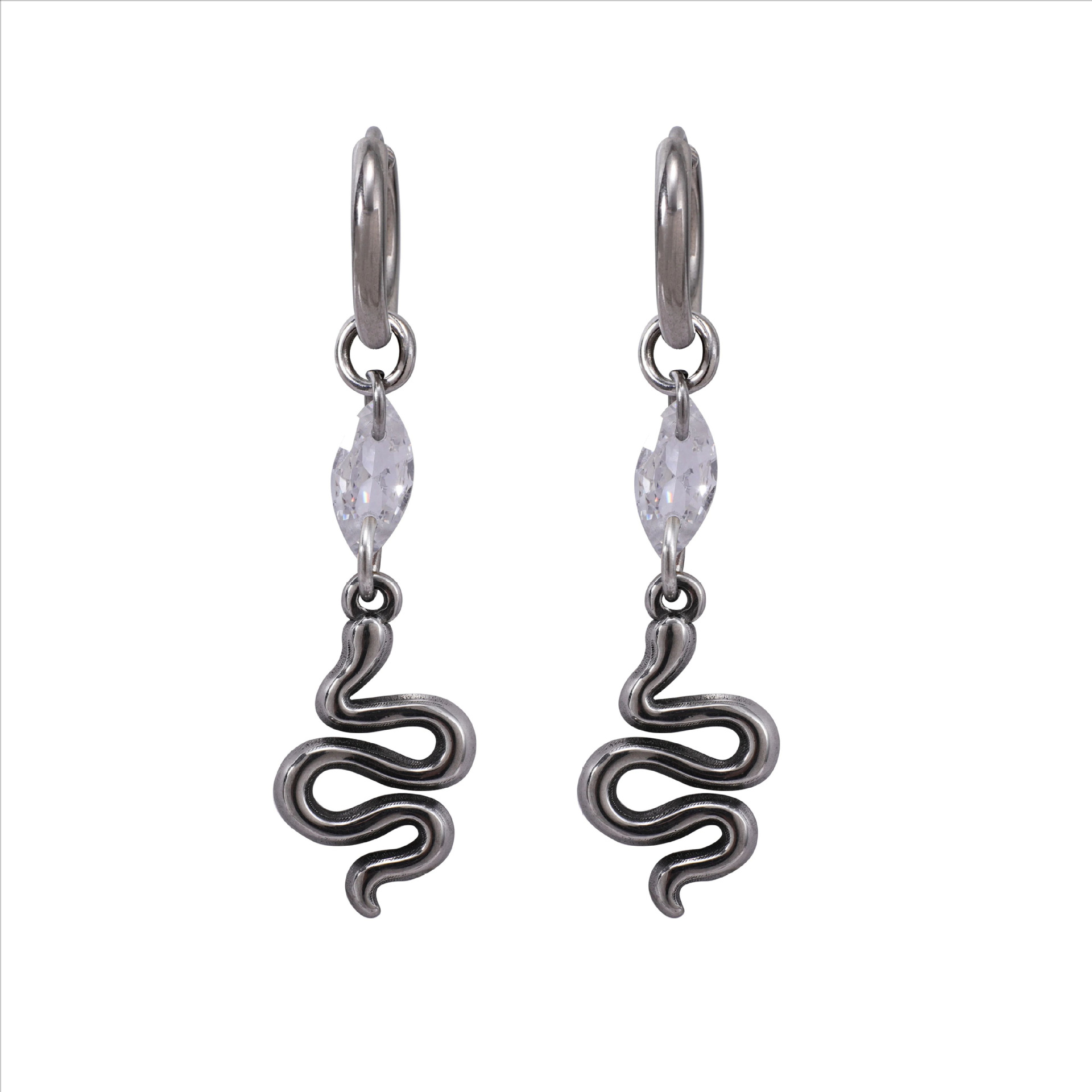 Serpentine Hip-hop Titanium Steel Earrings photo 2