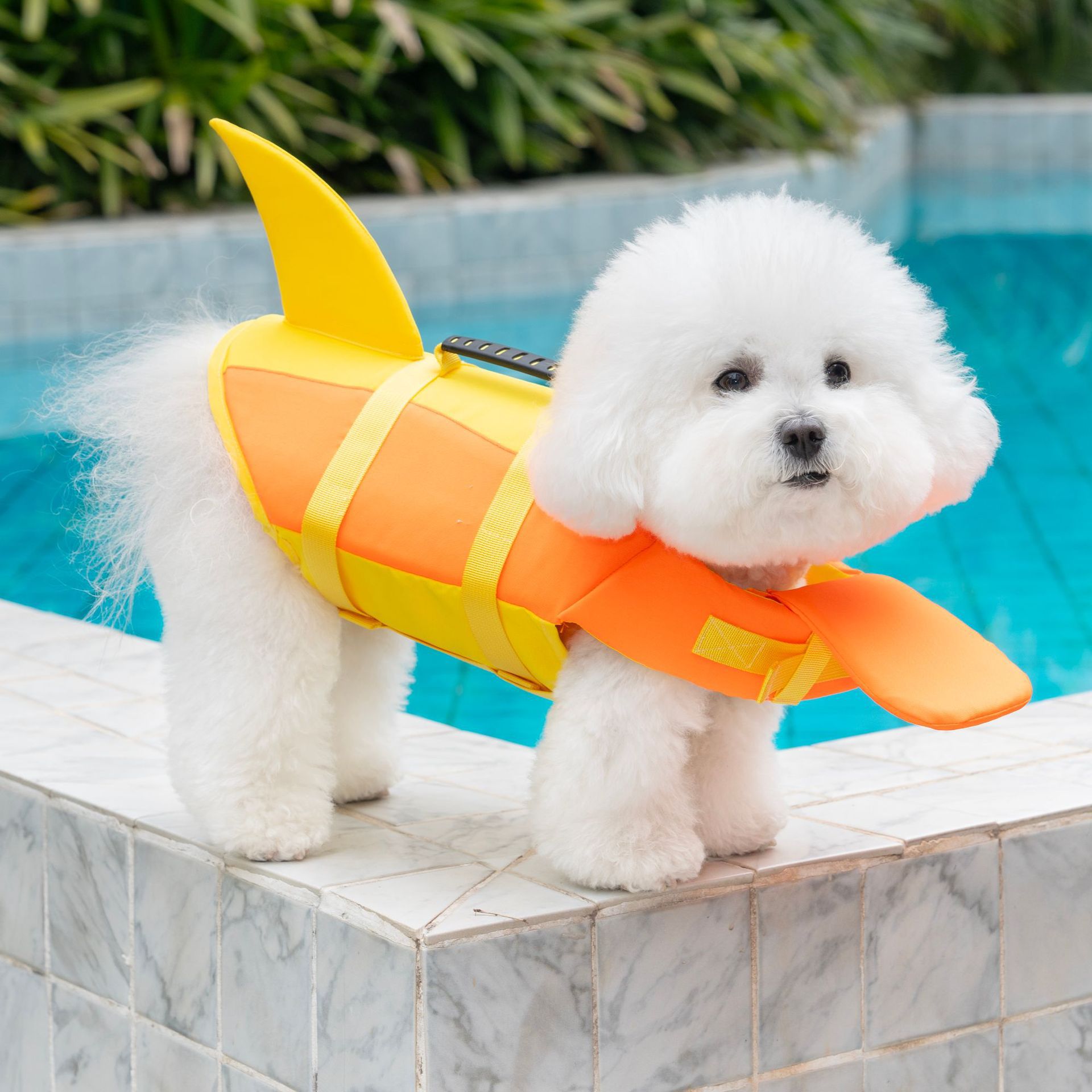 Pet Life Jacket Pet Supplies Dog Life Jacket photo 2