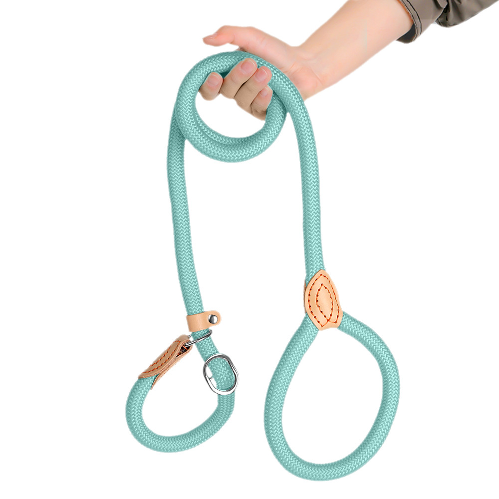Extended And Thickened Pet Leash For Dogs photo 7