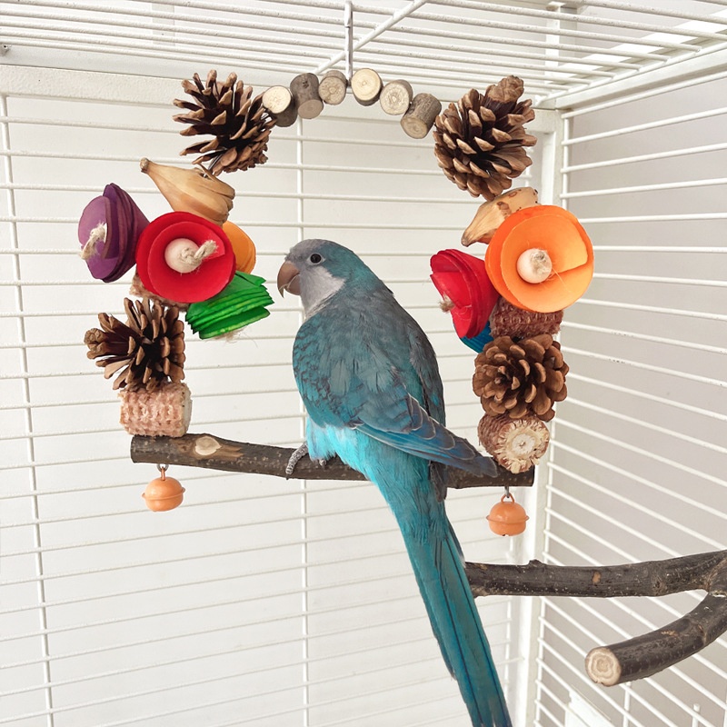 Parrot Swing Pine Nut Grinding Mouth Grinding Claw Log Bird Stand Rod Color Decoration photo 4
