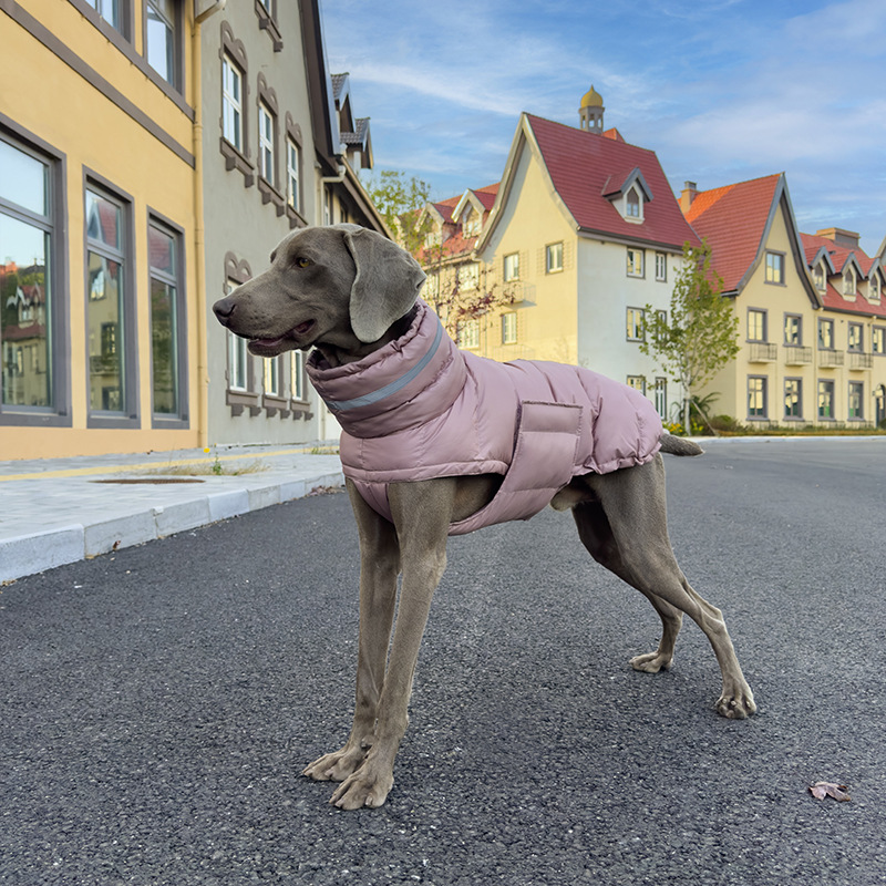 Winter Cotton Padded Pet Clothes photo 1