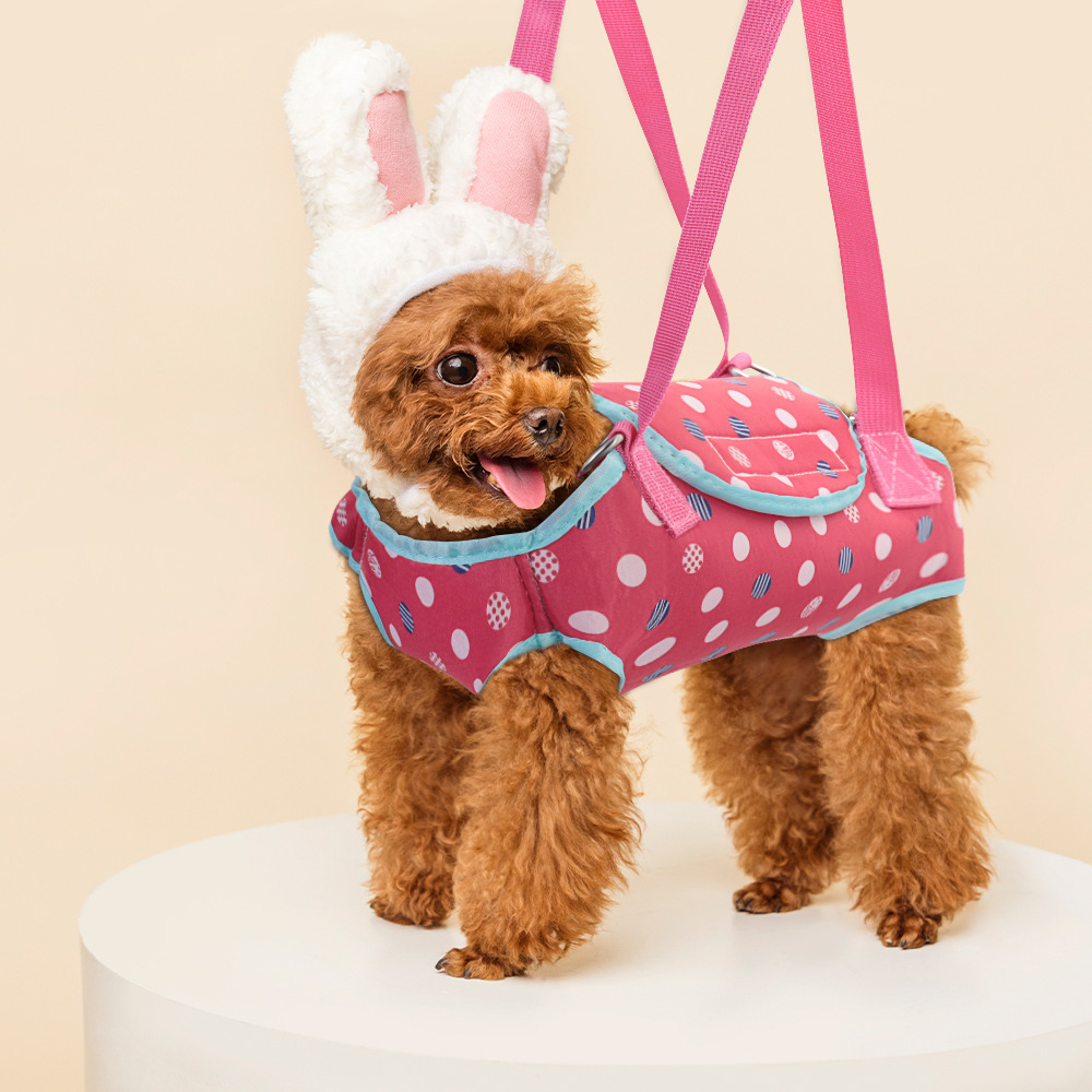 Small Single-shoulder Breathable Crossbody Dog Carrier For Pet Outings photo 1