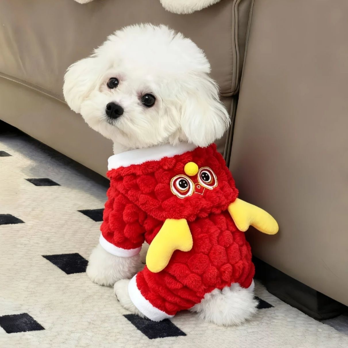 Personalized Festive New Year Pet Clothing photo 6