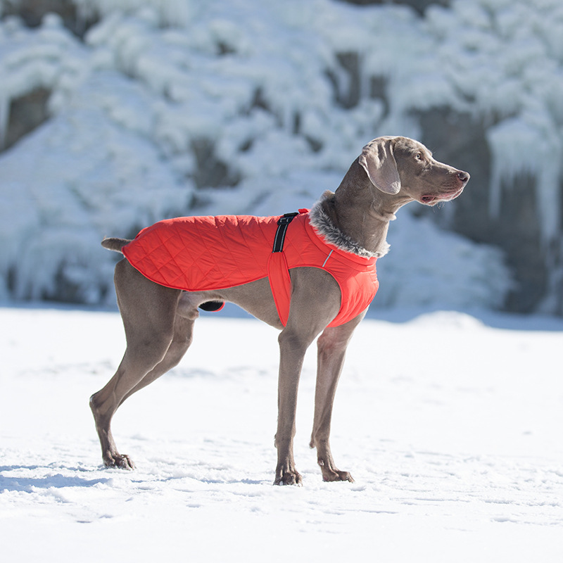 Pet Clothing Cotton Coats Wholesale, Winter Heavy-duty Jackets For Large Dogs photo 2