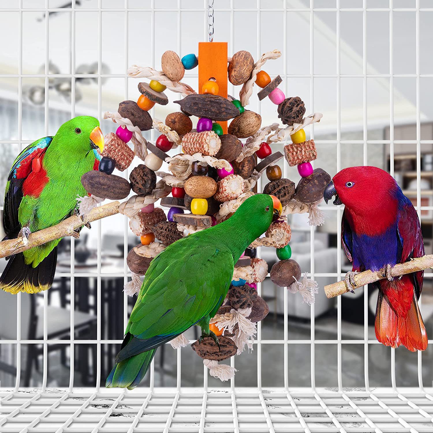 Large Parrots Nibbling On Toy Fruit Skewers photo 8