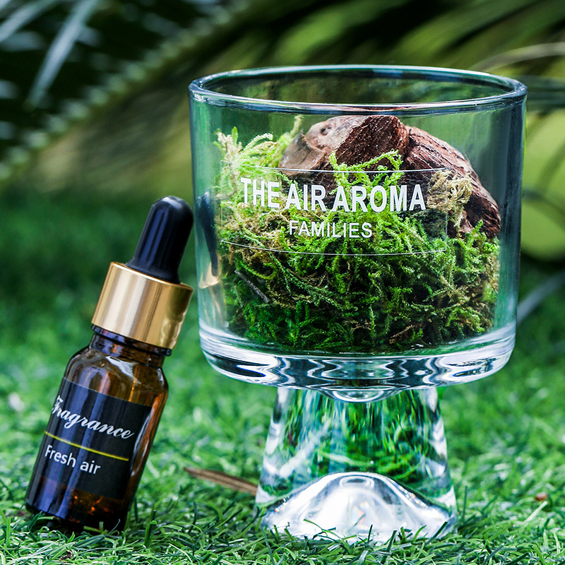 Pine Wood And Moss Fire-Free Aroma Diffuser Cup Ornament photo 4