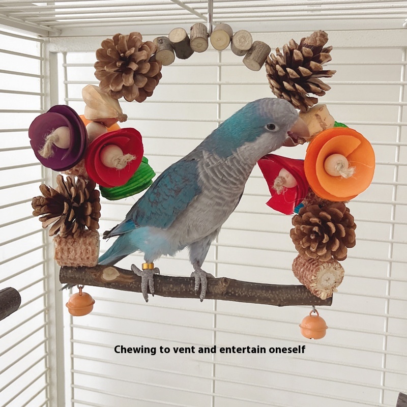 Parrot Swing Pine Nut Grinding Mouth Grinding Claw Log Bird Stand Rod Color Decoration photo 2