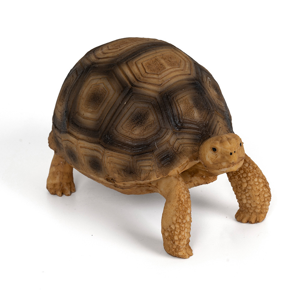 Resin Ornamental Figurine For Pet Turtle Tanks, Designed To Mimic A Brazilian Turtle Habitat photo 1