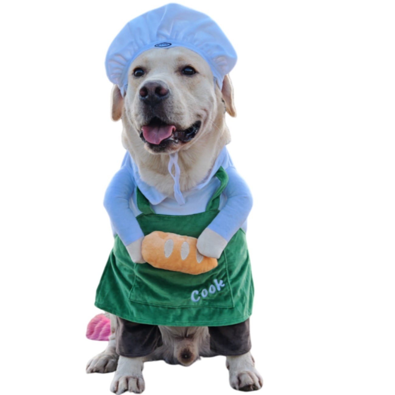 Pet Chef Costume Funny Style Universal Fit photo 6