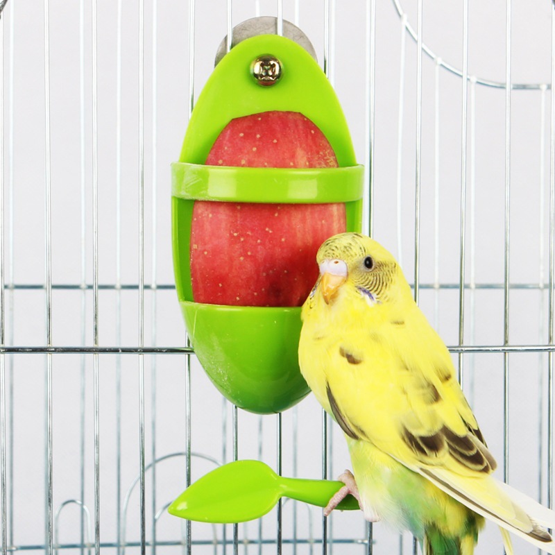 Parrot Food Rack Bird Cuttlefish Skeleton Food Box photo 2