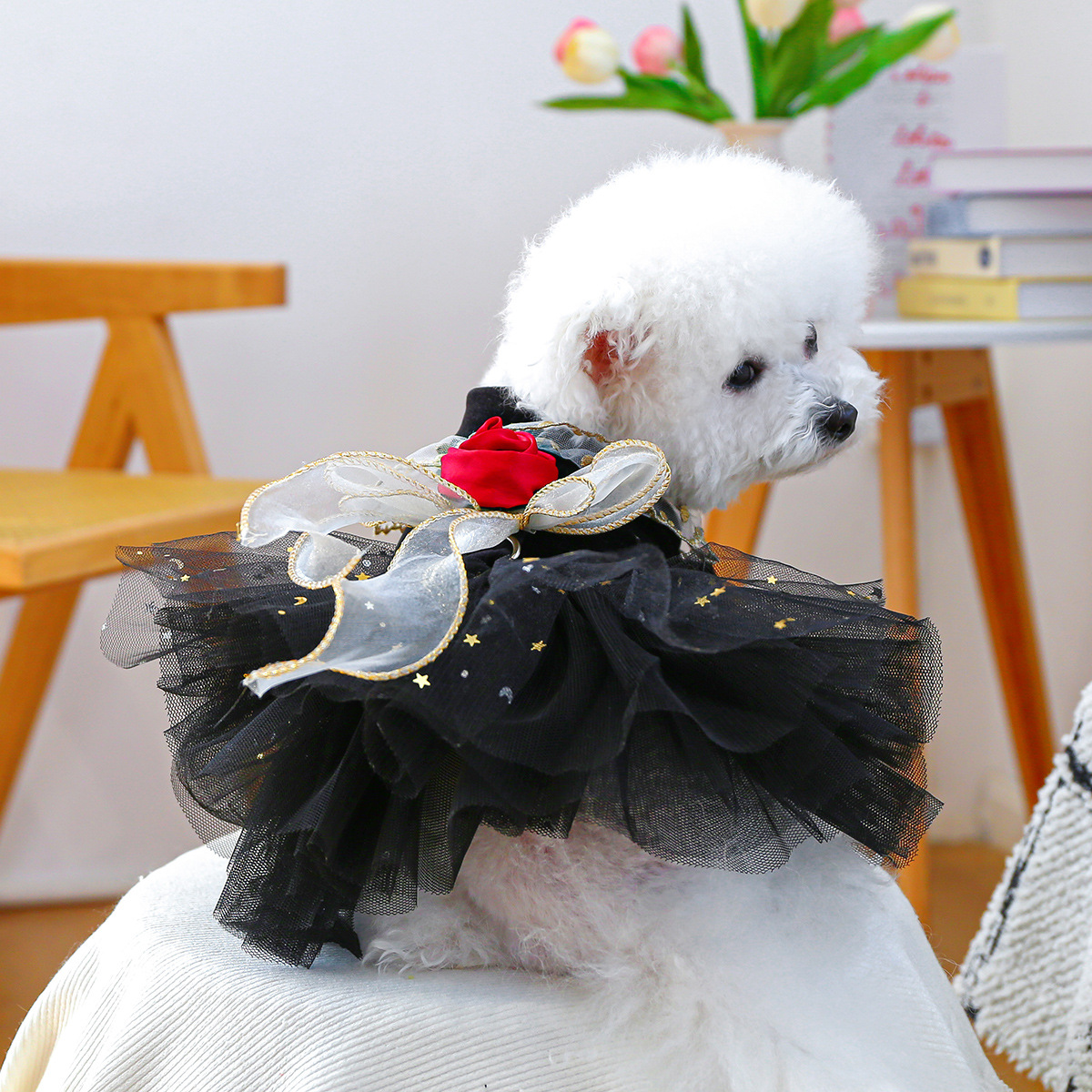 Small Dog Puppy Outfit Black Velvet Rose Dress photo 2