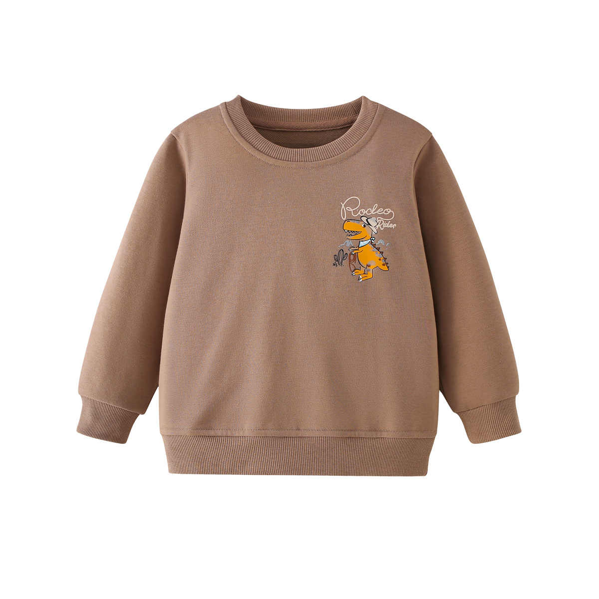 Kids Crew-Neck Cartoon Hoodie With Desert Dinosaur Print photo 2