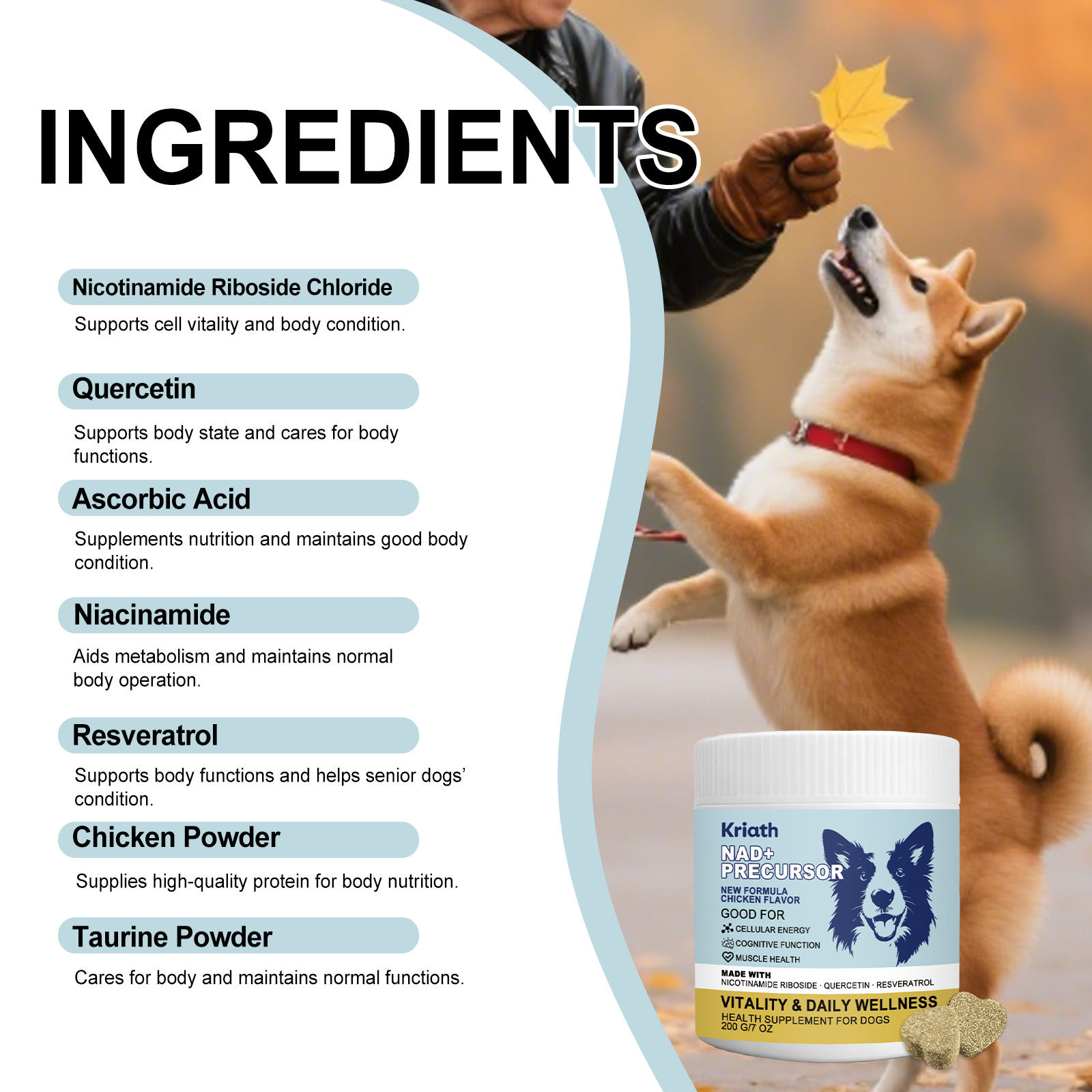 Canine Care Chewable Tablets - Pet Health Supplement for Dogs Daily Wellness Support photo 1