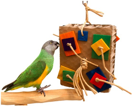 Parrot Colored Building Block Nibbling Toy photo 4