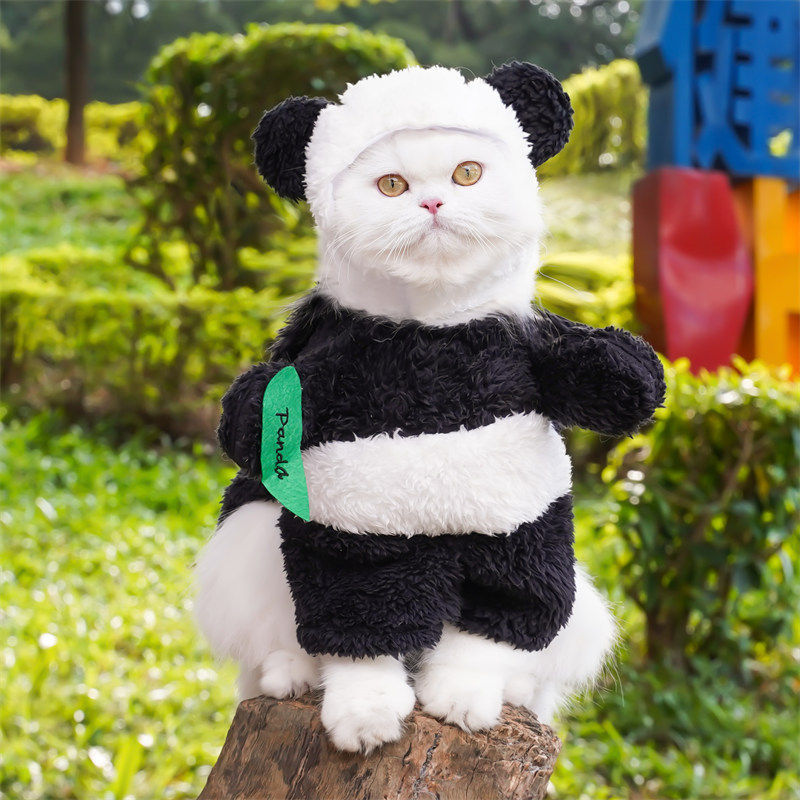 Pet Panda Standing Transformation Costume For Small And Medium-sized Dogs photo 1