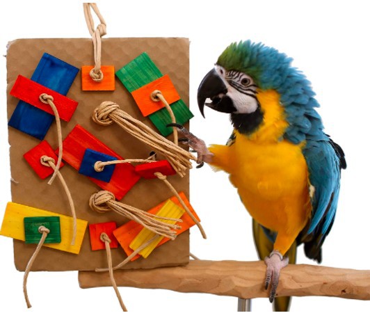 Parrot Colored Building Block Nibbling Toy photo 2