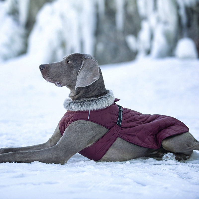 Pet Clothing Cotton Coats Wholesale, Winter Heavy-duty Jackets For Large Dogs photo 7
