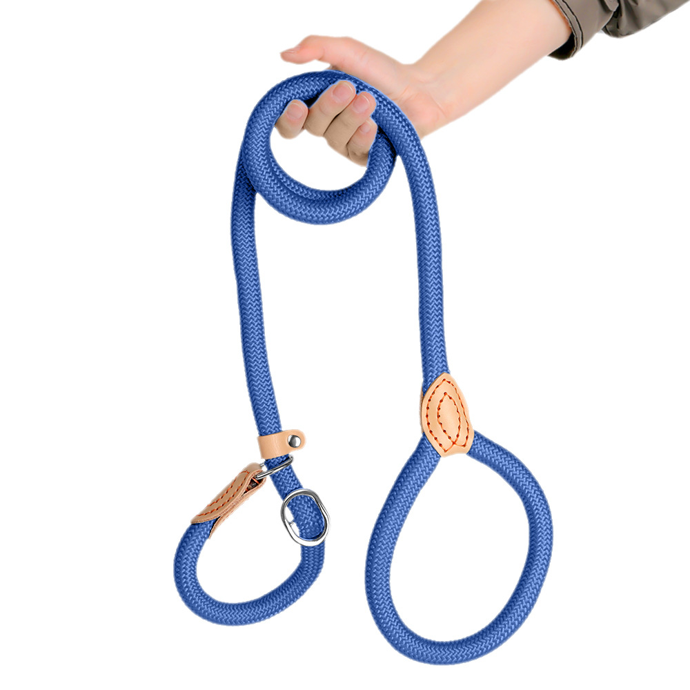 Extended And Thickened Pet Leash For Dogs photo 2