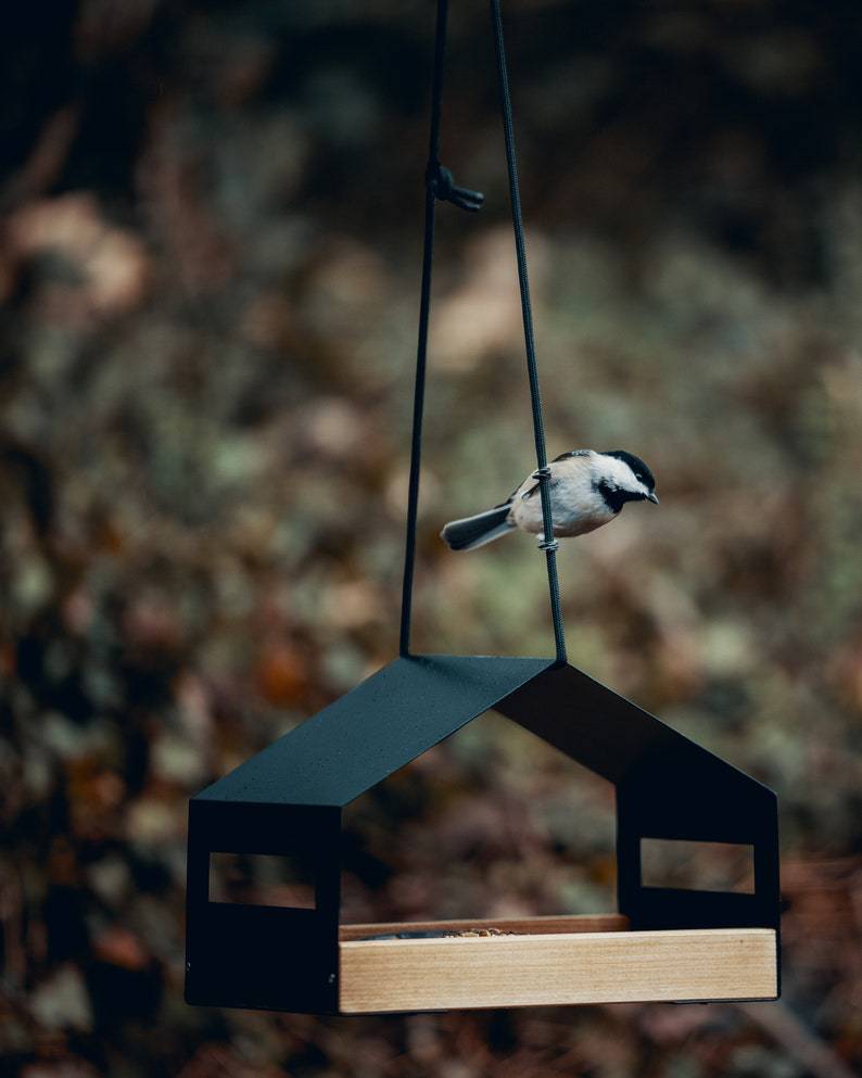Outdoor Gardening Garden Decoration Hanging Bird Feeder photo 7