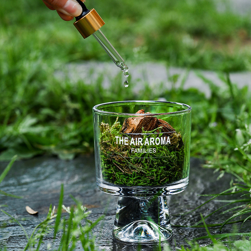 Pine Wood And Moss Fire-Free Aroma Diffuser Cup Ornament photo 1