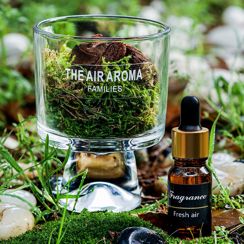 Pine Wood And Moss Fire-Free Aroma Diffuser Cup Ornament photo 3