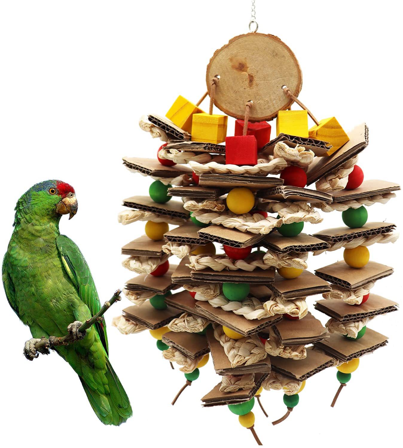Parrot Logs Gnawing On Corn Husks And Skewers photo 5