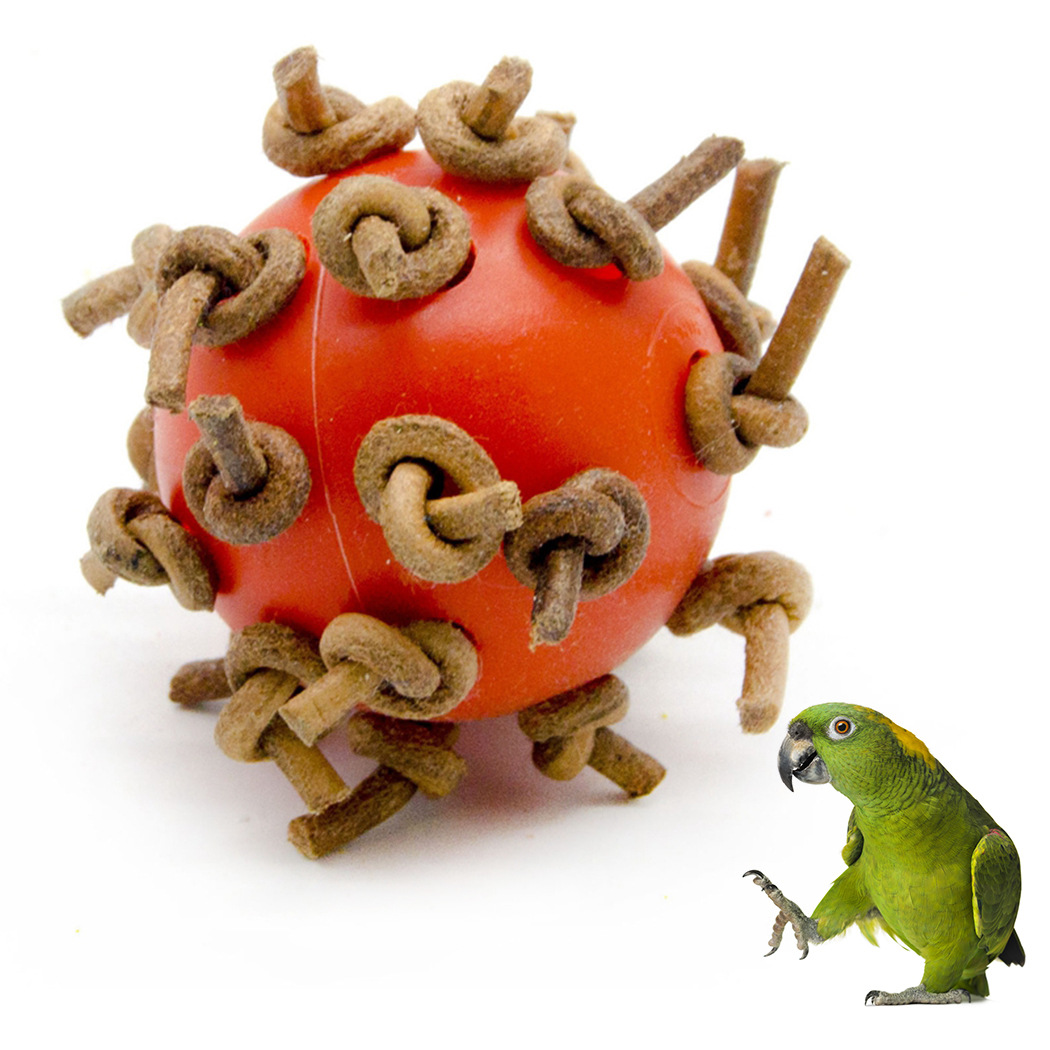 Parrot Plastic Interactive Chewing  Ball photo 1