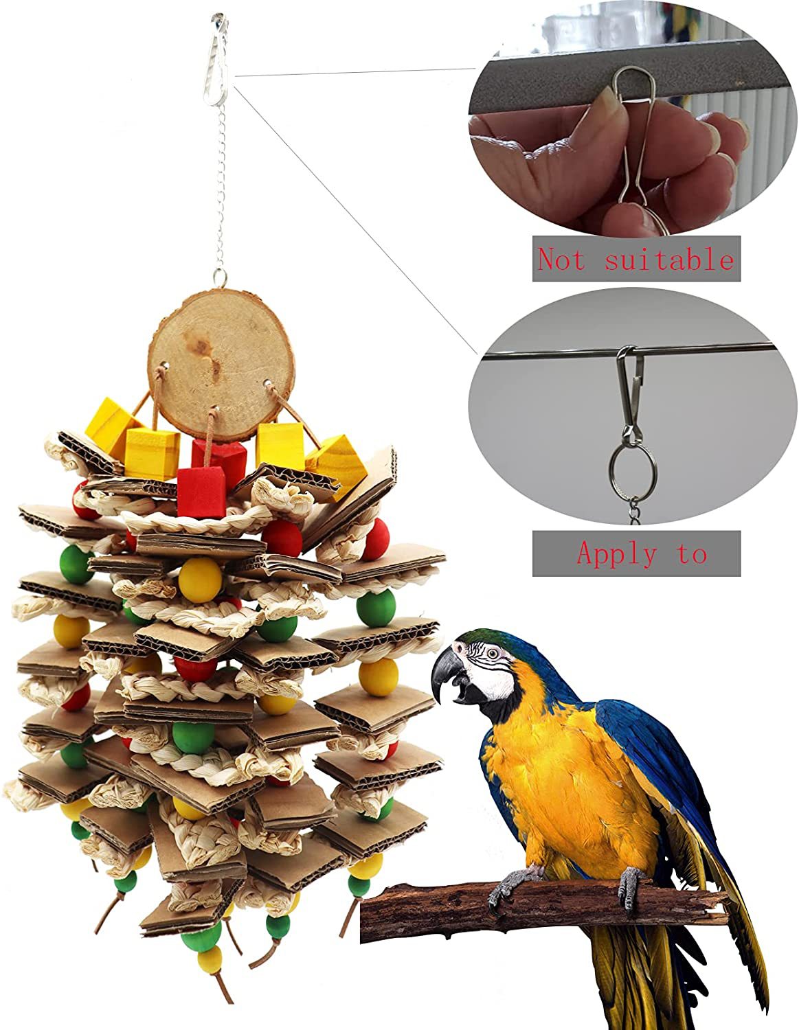 Parrot Logs Gnawing On Corn Husks And Skewers photo 3