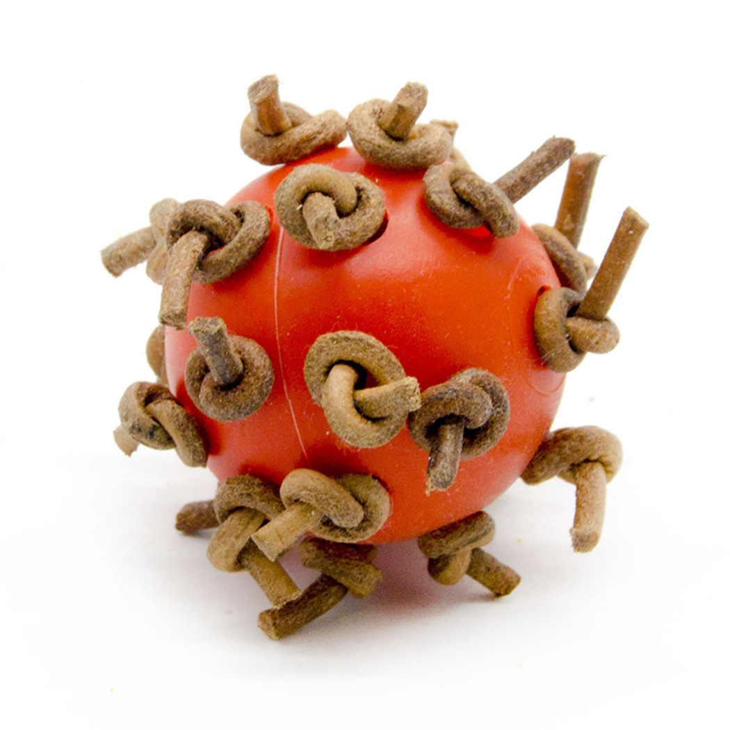 Parrot Plastic Interactive Chewing  Ball photo 2