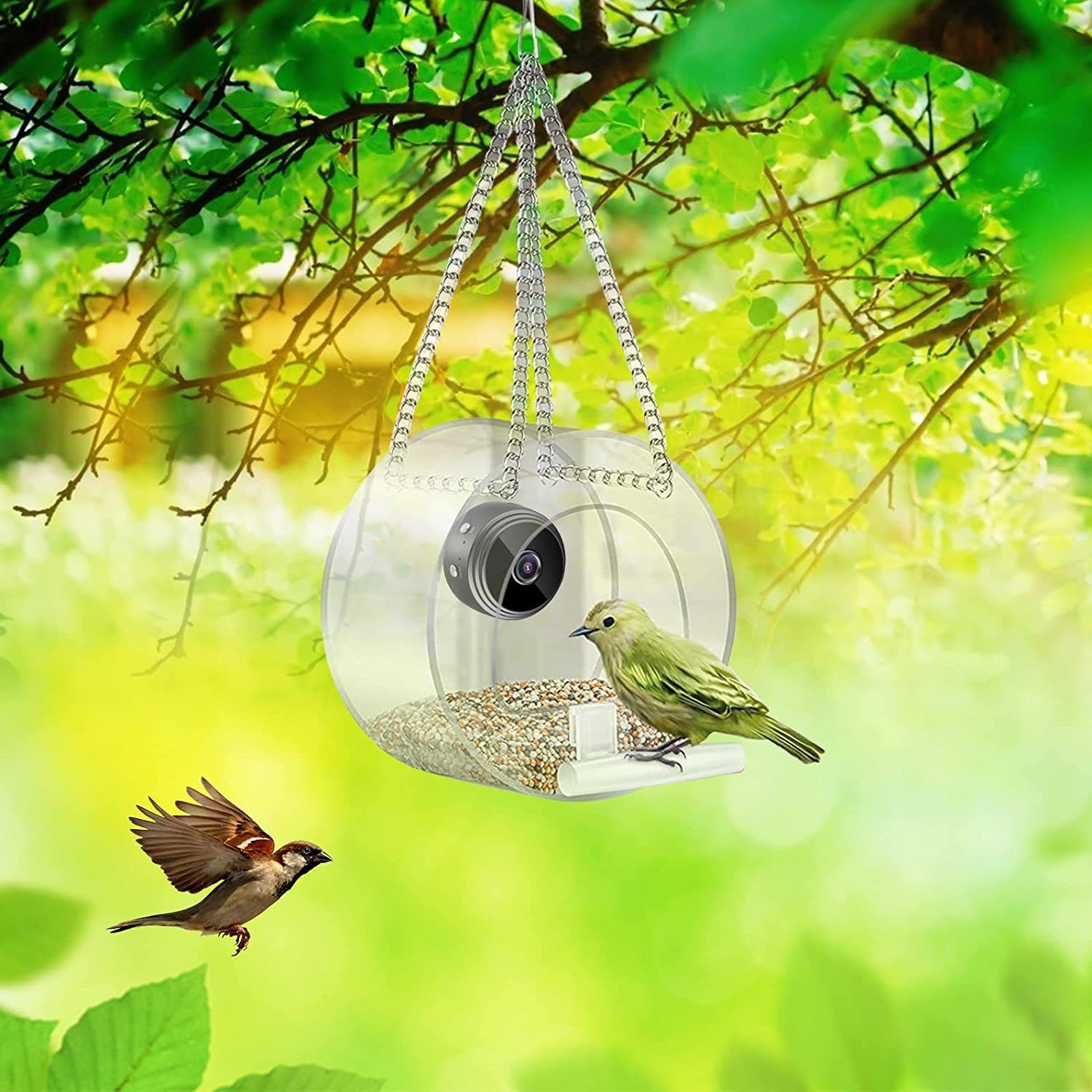 Pet Smart Feeder Outdoor Real-time Monitoring With HD Camera photo 8