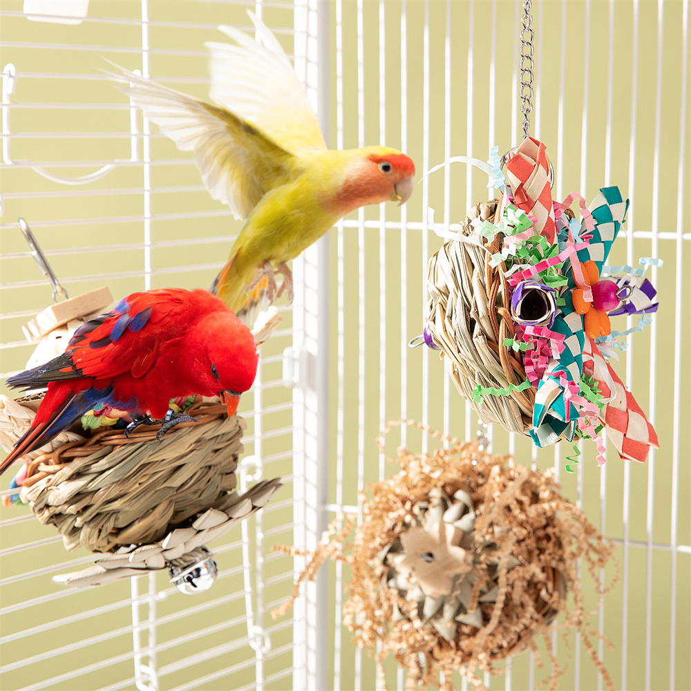 Parrot Bird Toy Supplies Gnawing Molar photo 1