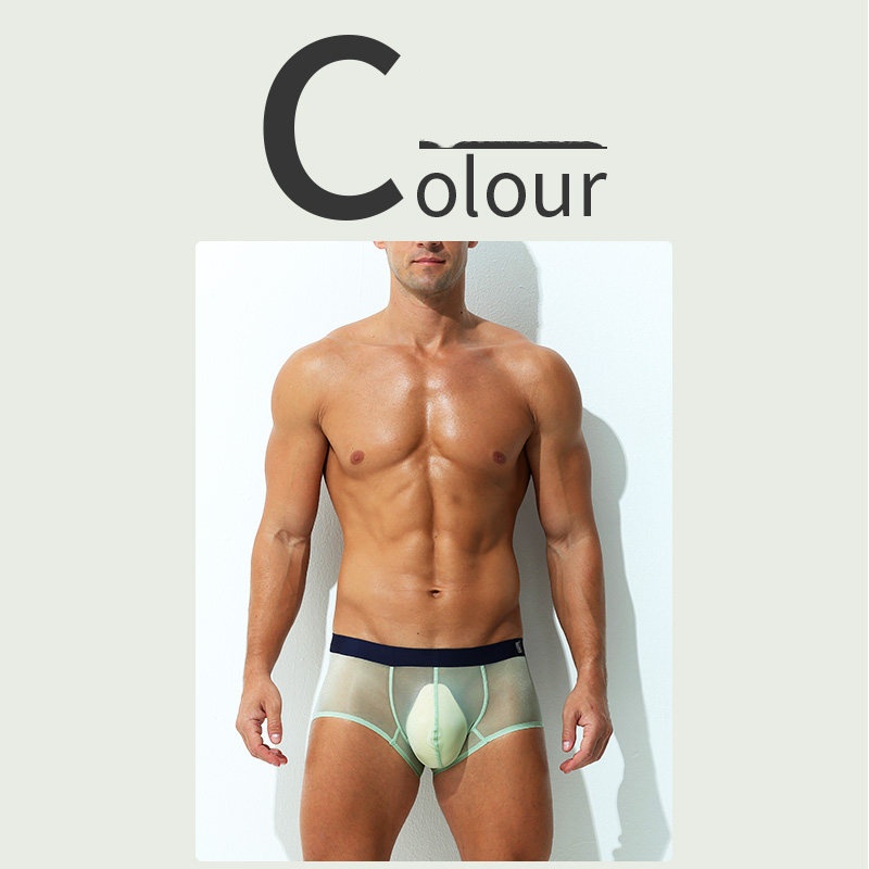 Boxer Briefs Ultra-thin Sheer Ice-silk Low-rise Sexy photo 3