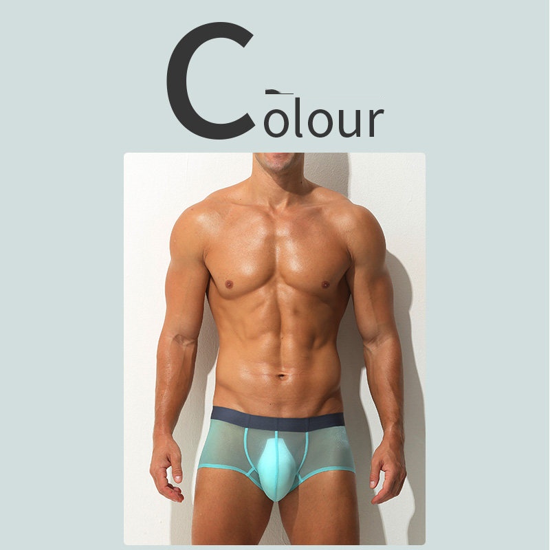 Boxer Briefs Ultra-thin Sheer Ice-silk Low-rise Sexy photo 8