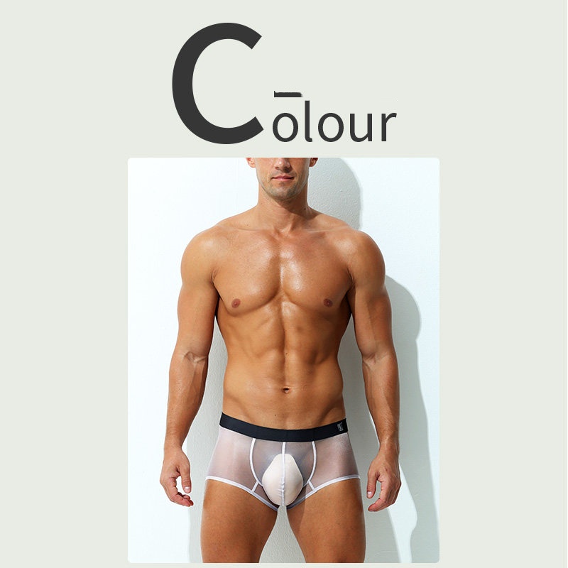 Boxer Briefs Ultra-thin Sheer Ice-silk Low-rise Sexy photo 6