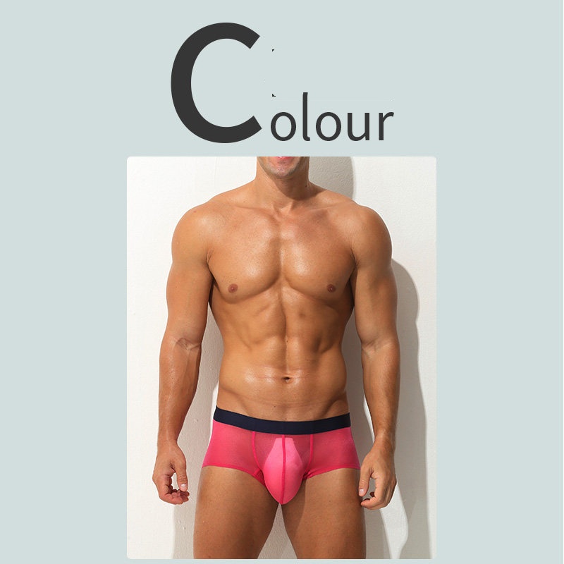 Boxer Briefs Ultra-thin Sheer Ice-silk Low-rise Sexy photo 5