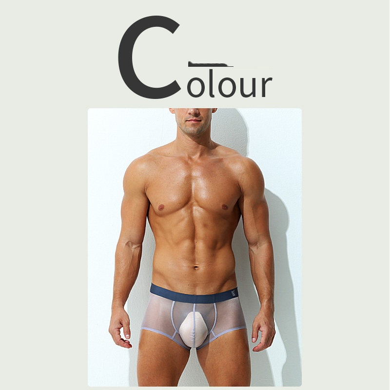 Boxer Briefs Ultra-thin Sheer Ice-silk Low-rise Sexy photo 7
