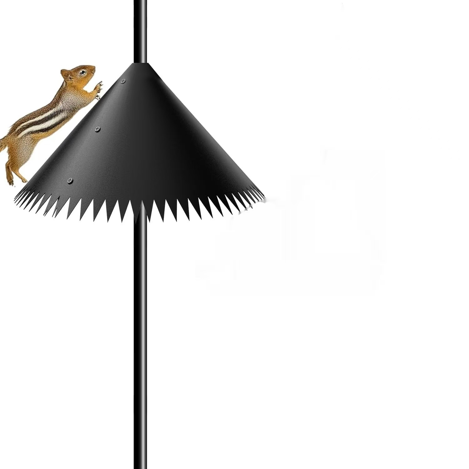 Outdoor Surrounding Squirrel-Proof Hanging Bird Feeder photo 4