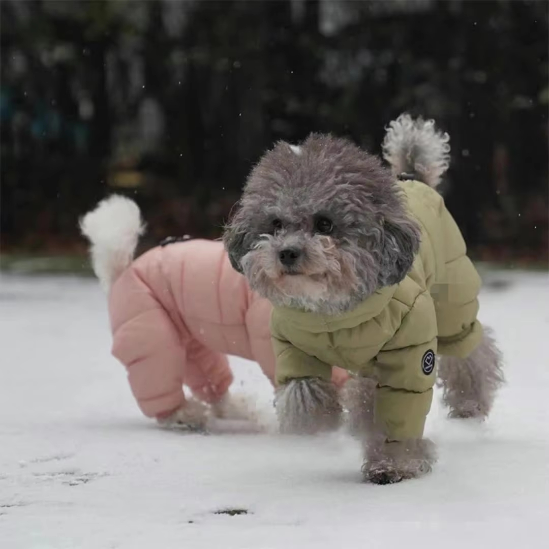 Small Dog Winter Clothing For Pets photo 1