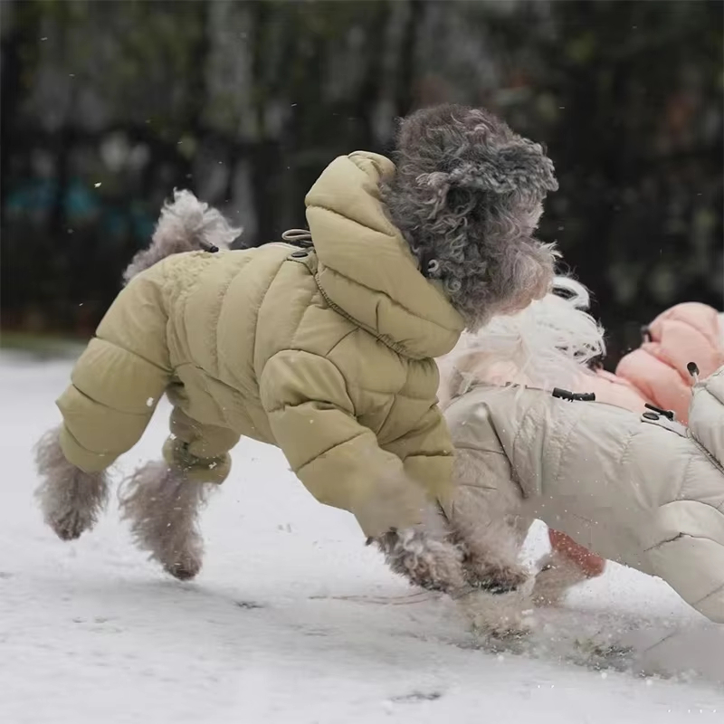 Small Dog Winter Clothing For Pets photo 2