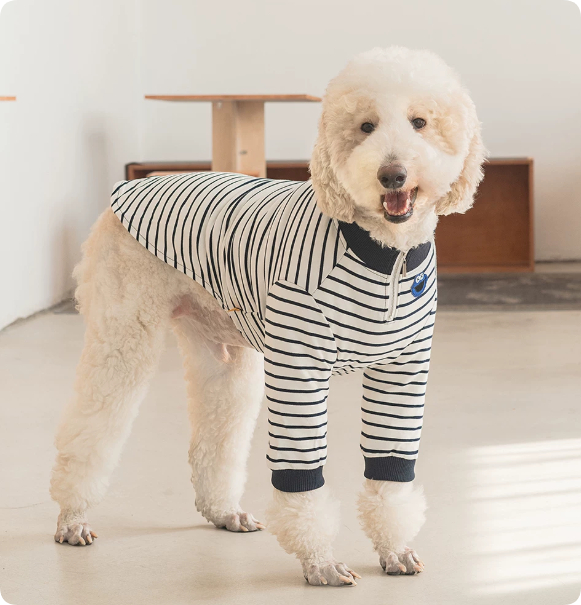 Thermal Protection Labrador Golden Retriever Samoyed Premium Pet Clothing photo 3