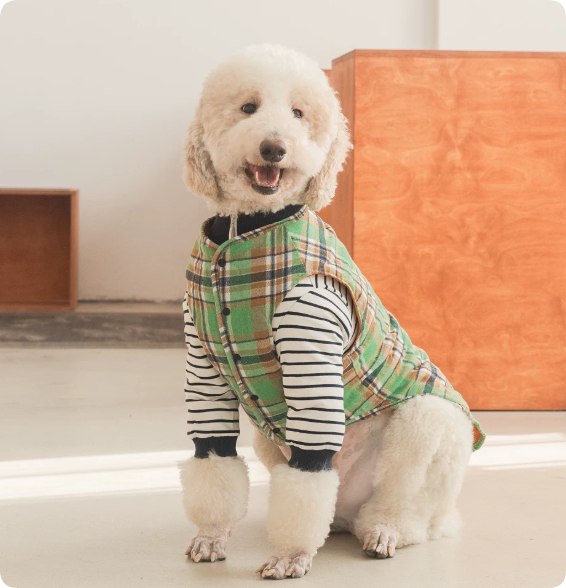 Thermal Protection Labrador Golden Retriever Samoyed Premium Pet Clothing photo 6