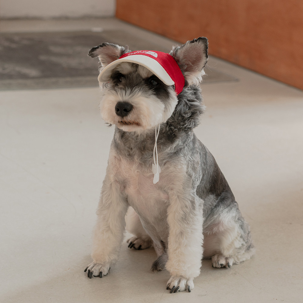 Contrasting-color Dog Baseball Cap With Good Breathability photo 6
