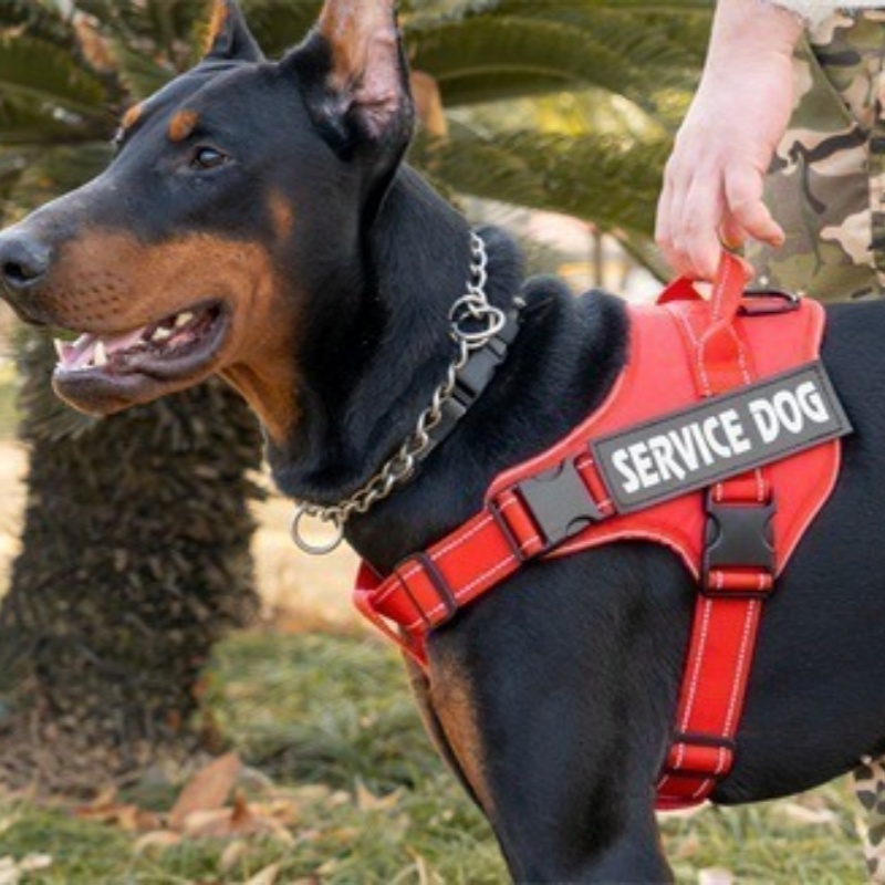 New Tactical Dog Leash And Harness photo 1