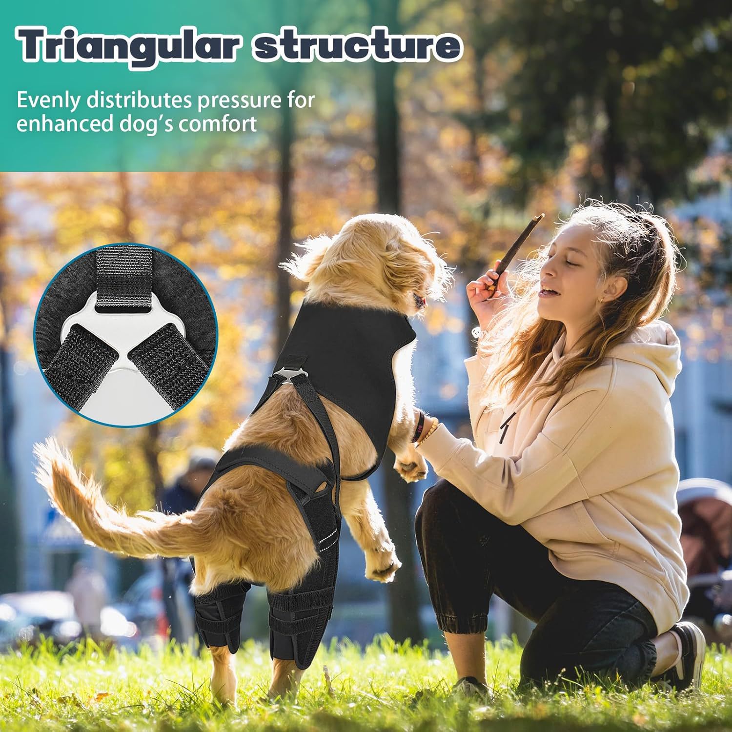 Pet Dog Rear Leg Protective Gear photo 1