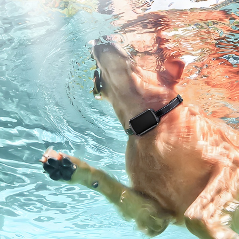 Waterproof And Dustproof Universal Pet GPS Tracker photo 1