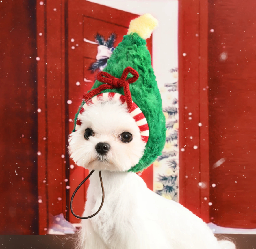 Cute Christmas Tree Hat For Cats photo 4