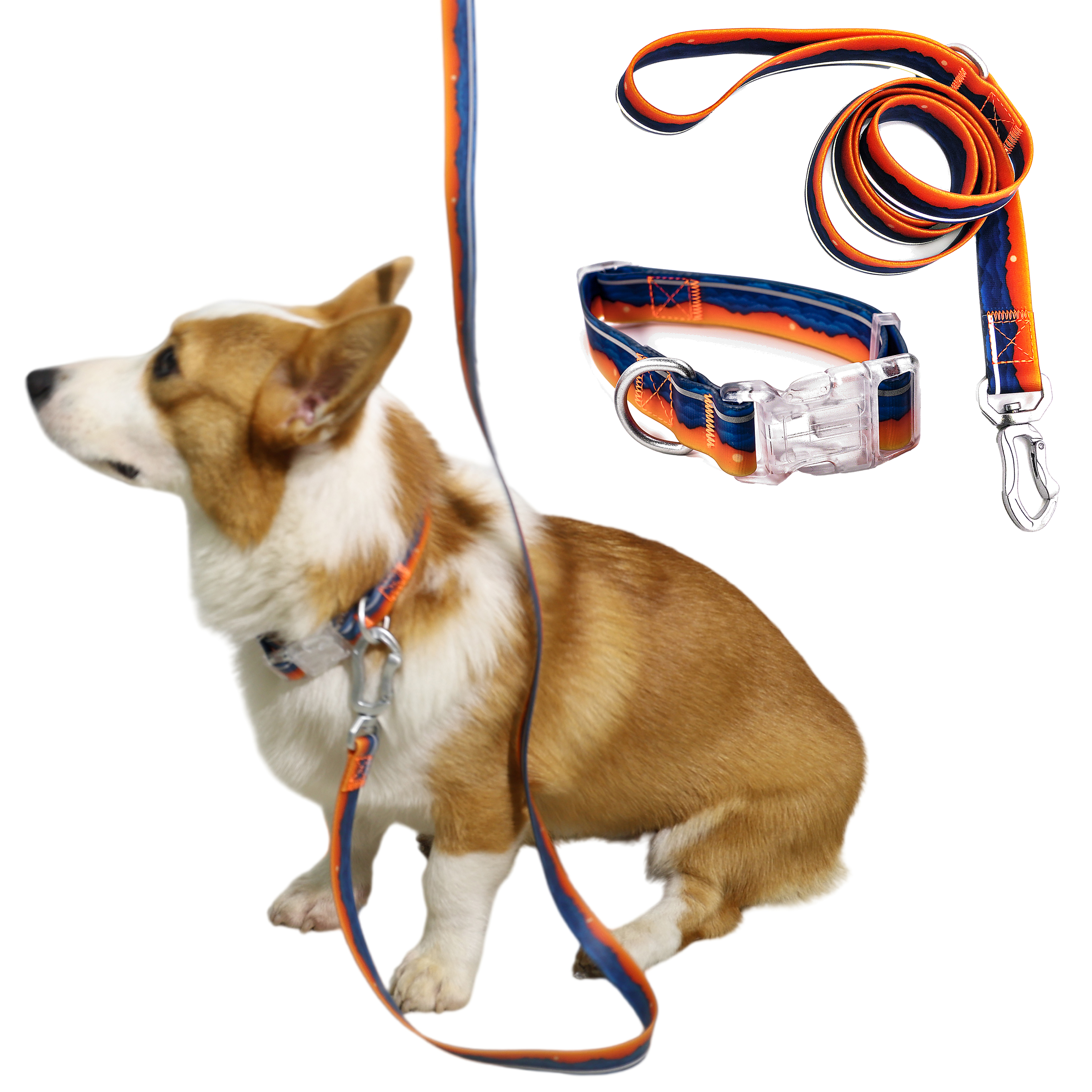 ( M ) Reflective Patterned Leash Set Sunset photo 1